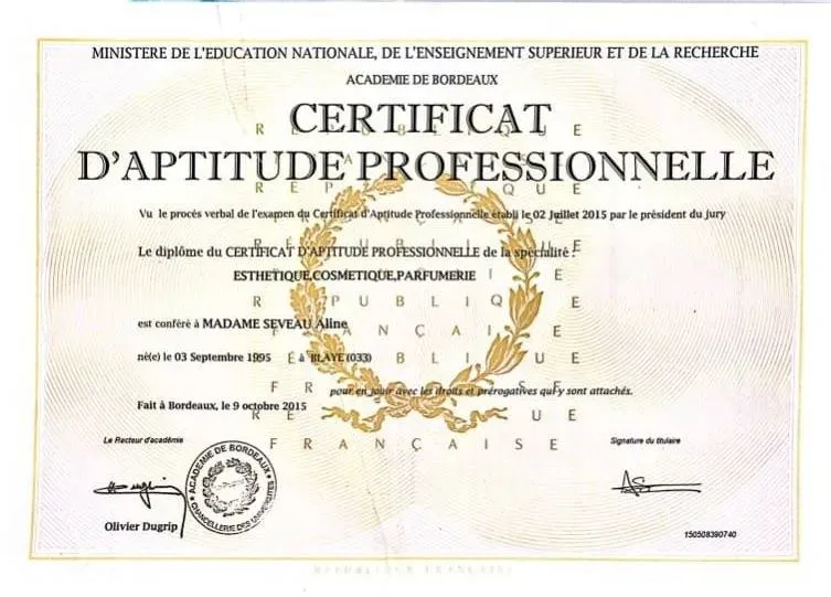 certificat d'aptitude professionnelle